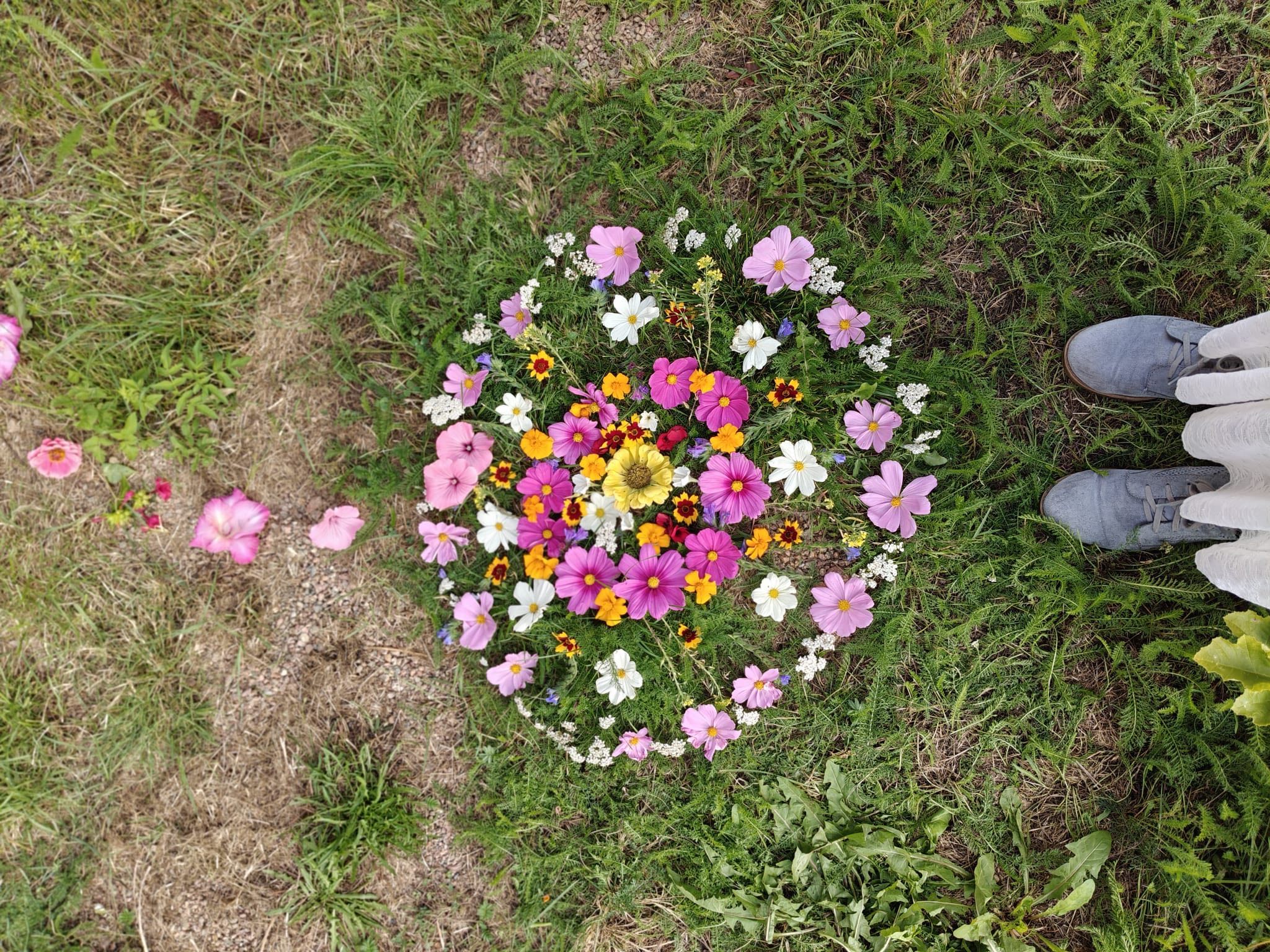 Featured image for “Kuolematyöpaja 🌸 Dödsworkshop 20.7.2026”